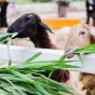 探索无限精彩赛事 - PG官网